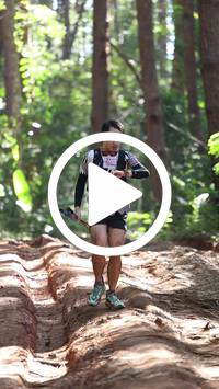 BIB:  <button type="button" onclick="openModal(26569490)" class="btn btn-primary btn-sm float-right" data-toggle="modal" data-target=".modal-high-quality">
                <i class="fa fa-download"></i> Download
                </button>